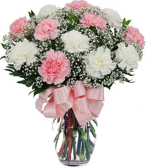 Carnation Fluff & Fun Pink and white Carnations with Babies Breath in