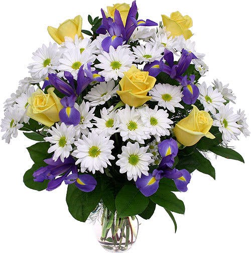 Daisy Lane A full and round arrangement of daisies, iris and roses
