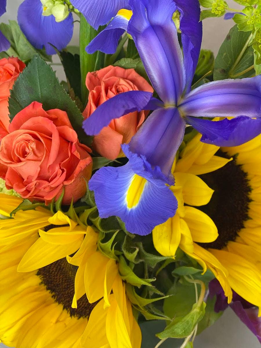 What is a dissertation image