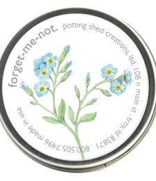 Forget-Me-Not Seed Tin