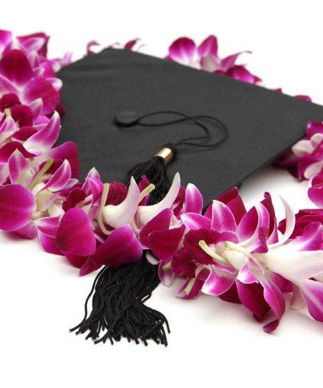 GRADUATION LEI - OHANA PACK 15 LEI ( FREE SHIPPING )