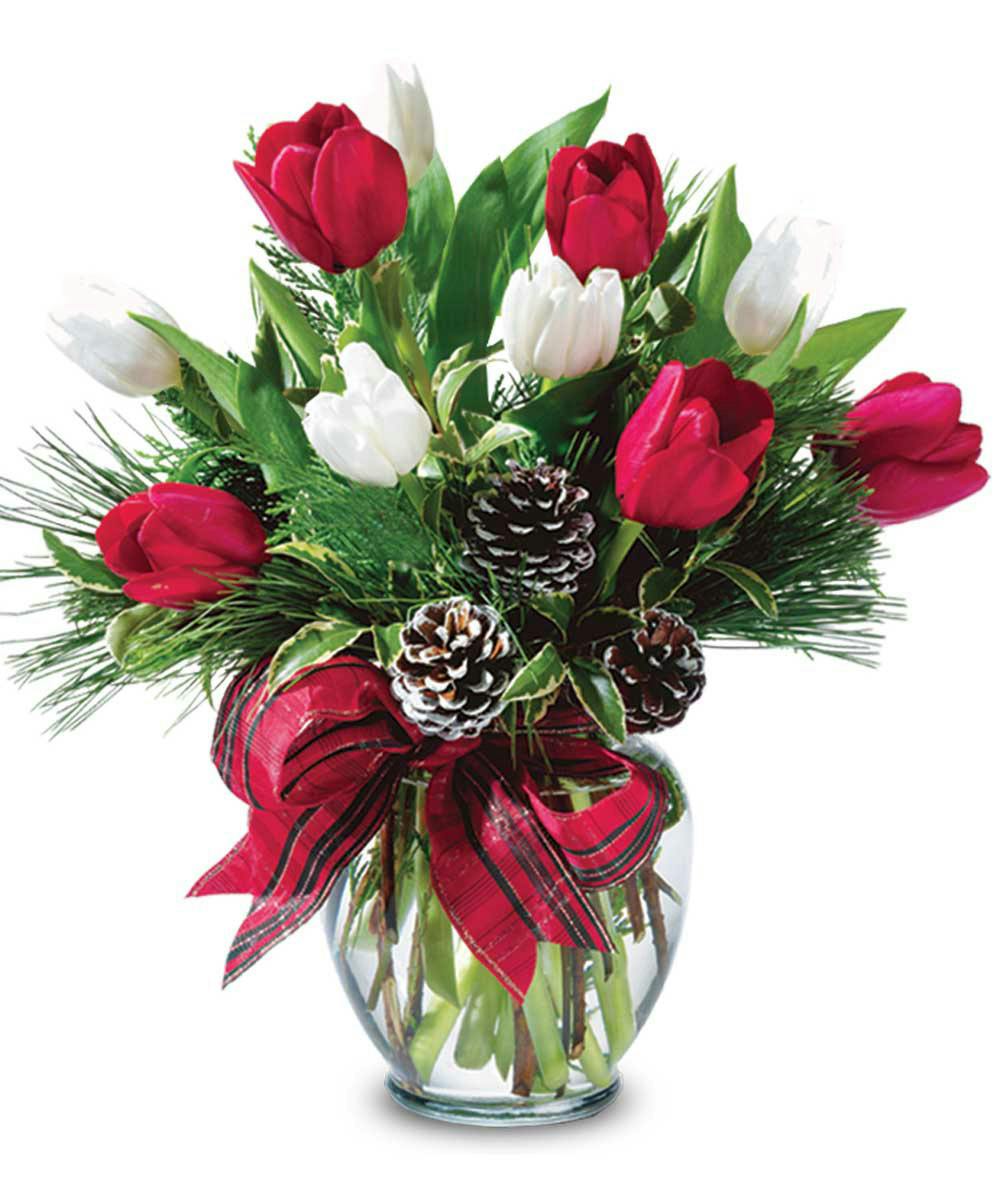 Holiday Tulips Holiday tulips