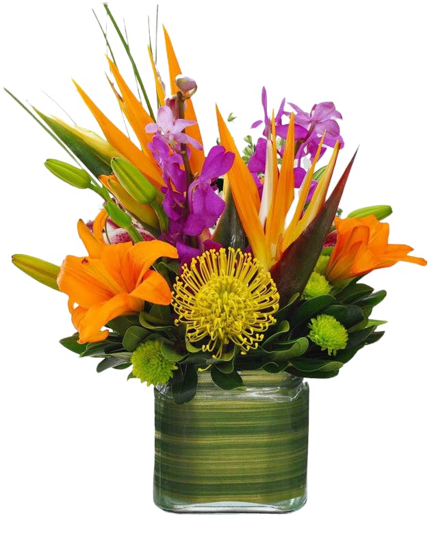 Bold Blooms Flowers Tropical Bagoy's Florist Anchorage (AK)