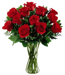 Rich Red Roses
