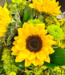 Sun Seeker Wrapped Flowers