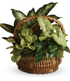 Garden Plant Basket