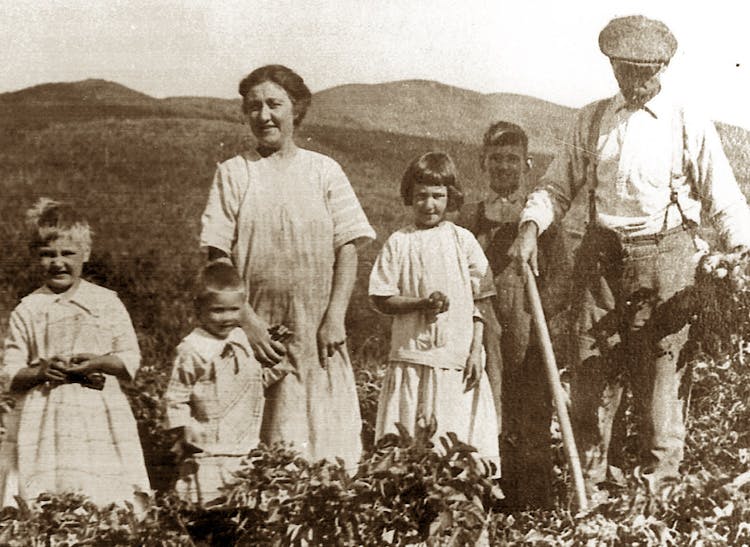Working the flower fields with the whole family, circa 1930